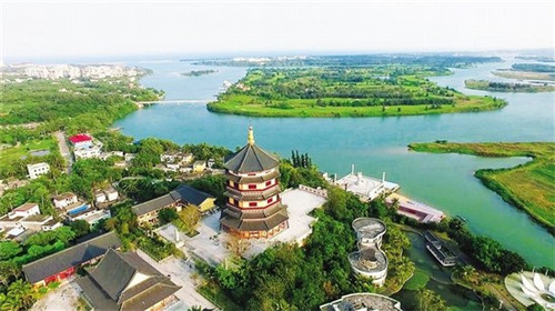 端粒酶什么地方有卖