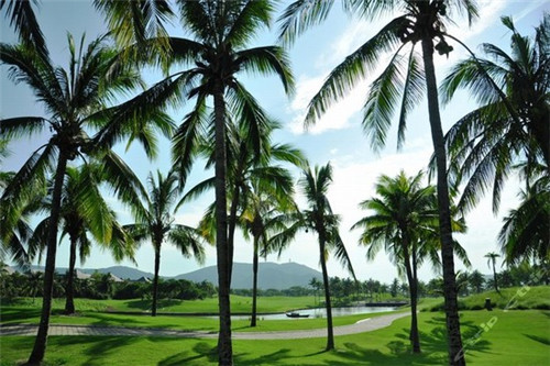 咸阳湖图片风景，咸阳湖平面图