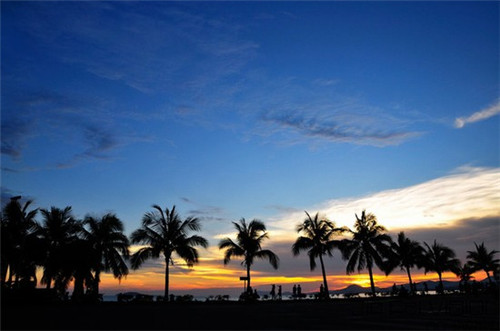 猫咪可以吃炒的洋芋吗