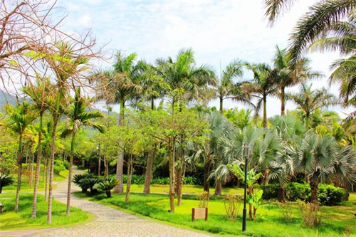 穿越火线端游账号大全 穿越火线端游账号大全