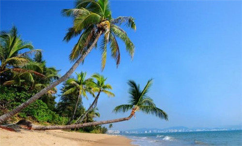 为什么花儿会开放和凋谢