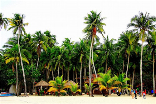 红旅小镇汤家汇景区