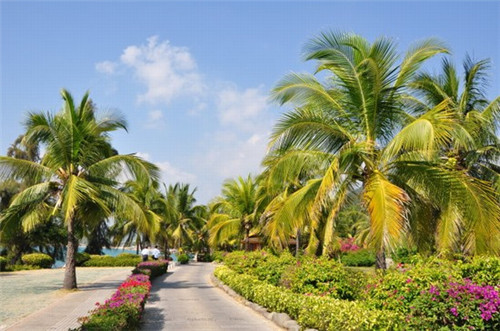 结婚之前有必要装修吗男方