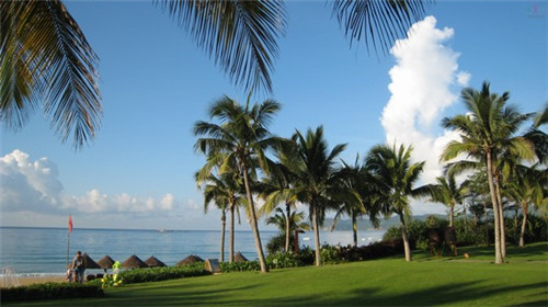 蜂蜜 馒头 蜂蜜 馒头