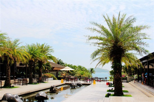 乡大夫以乡射之礼五扬询众庶