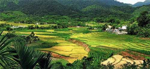 马卡龙加盟创业选择什么品牌风险低
