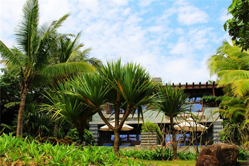 面皮配炒韭菜可以吃吗