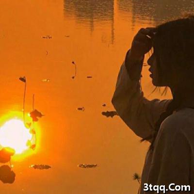 琼山区抖音app下载正版/毛导师